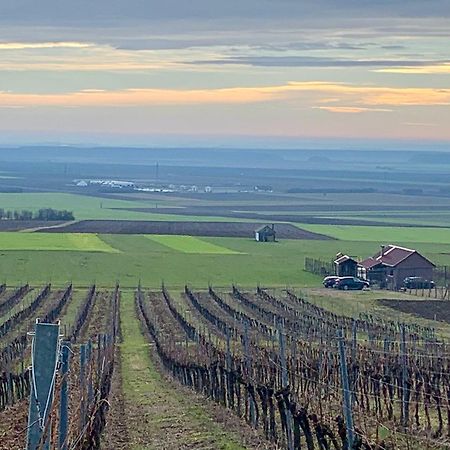Вілла Kuca Za Odmor Kiss-Karanac,Baranja Екстер'єр фото