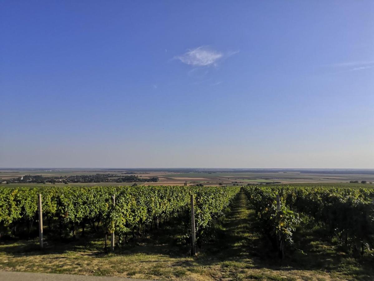 Вілла Kuca Za Odmor Kiss-Karanac,Baranja Екстер'єр фото