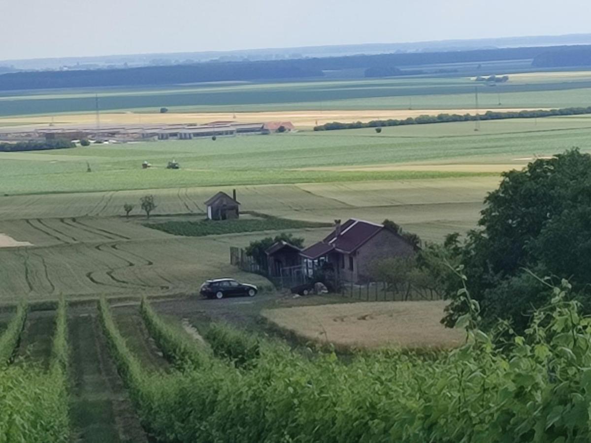 Вілла Kuca Za Odmor Kiss-Karanac,Baranja Екстер'єр фото