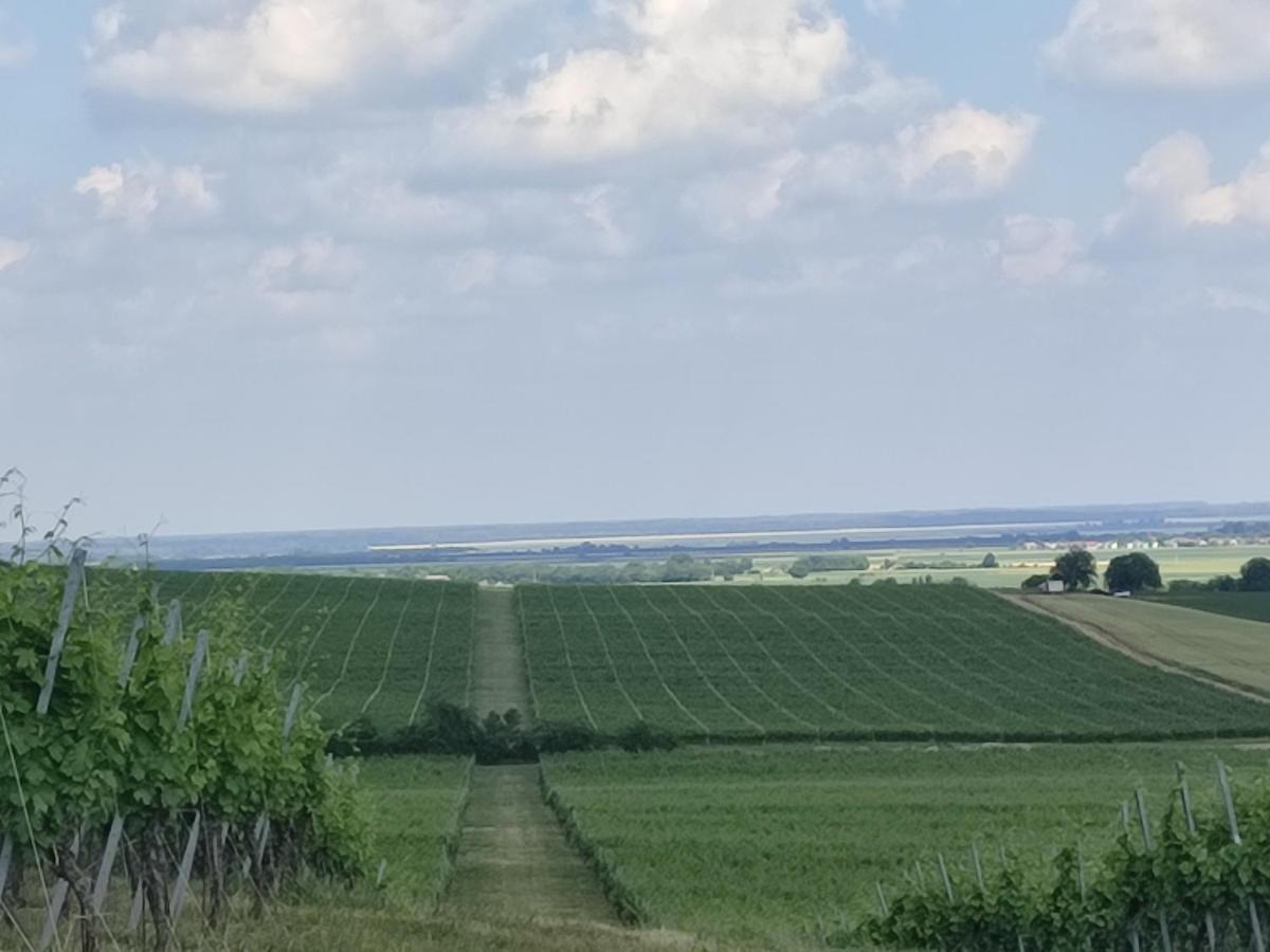 Вілла Kuca Za Odmor Kiss-Karanac,Baranja Екстер'єр фото