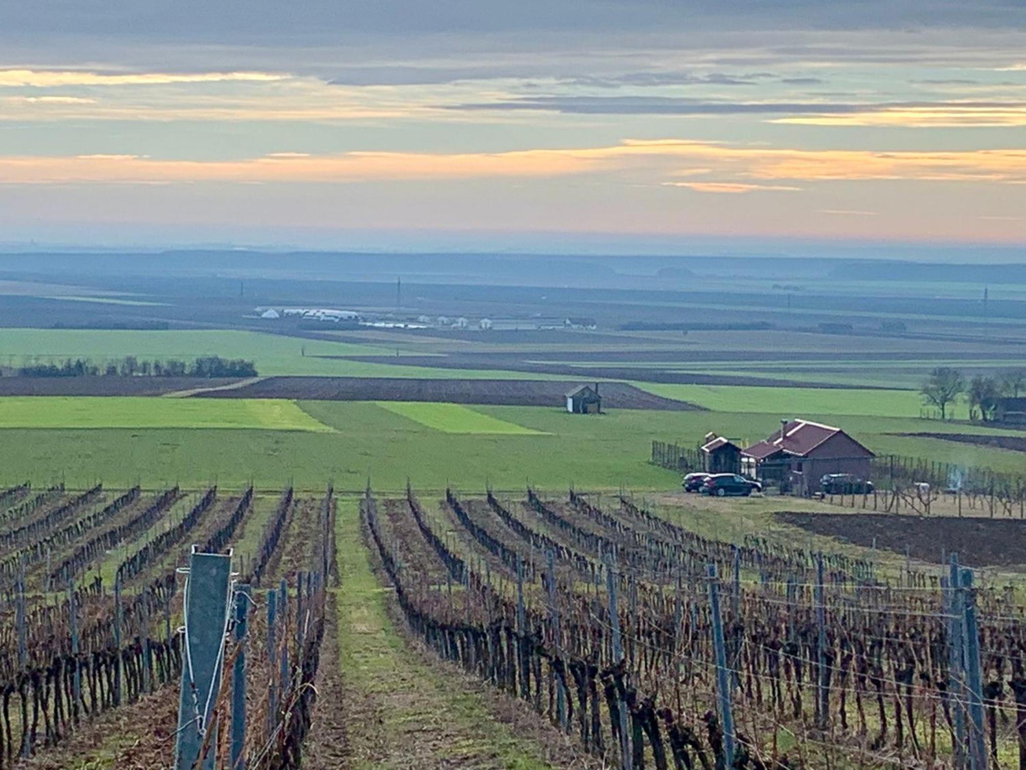 Вілла Kuca Za Odmor Kiss-Karanac,Baranja Екстер'єр фото